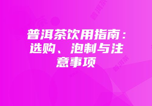 普洱茶饮用指南：选购、泡制与注意事项