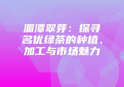 湄潭翠芽：探寻名优绿茶的种植、加工与市场魅力