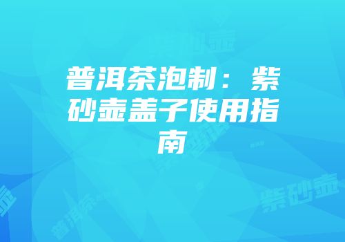 普洱茶泡制：紫砂壶盖子使用指南