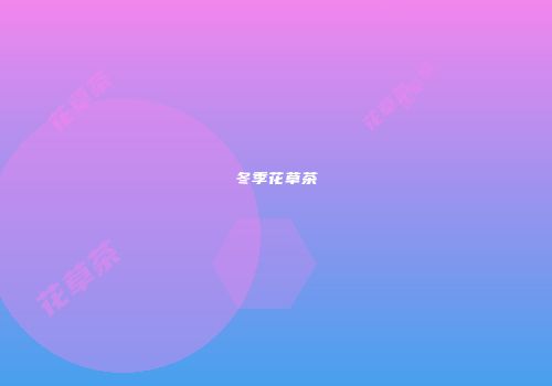 冬季花草茶