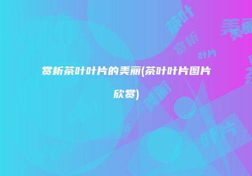 赏析茶叶叶片的美丽(茶叶叶片图片欣赏)