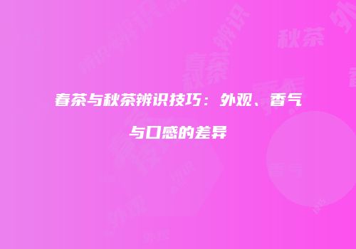 春茶与秋茶辨识技巧：外观、香气与口感的差异
