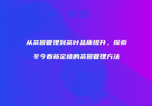从茶园管理到茶叶品质提升，探索冬今春新定植的茶园管理方法