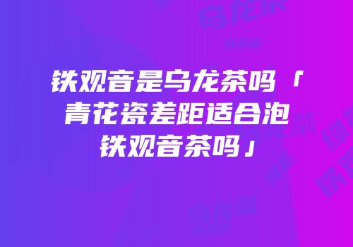 铁观音是乌龙茶吗「青花瓷差距适合泡铁观音茶吗」
