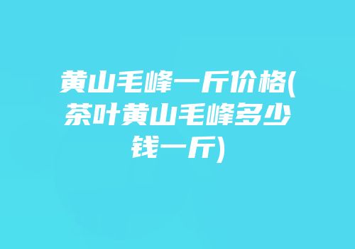 黄山毛峰一斤价格(茶叶黄山毛峰多少钱一斤)