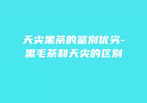 天尖黑茶的鉴别优劣-黑毛茶和天尖的区别
