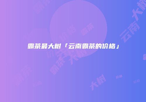 霸茶最大树「云南霸茶的价格」