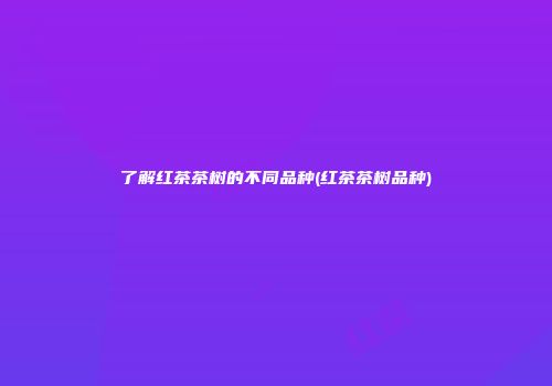 了解红茶茶树的不同品种(红茶茶树品种)