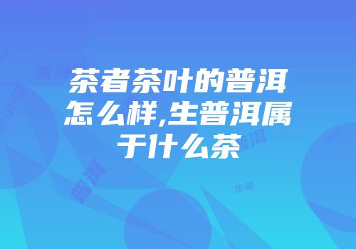 茶者茶叶的普洱怎么样,生普洱属于什么茶