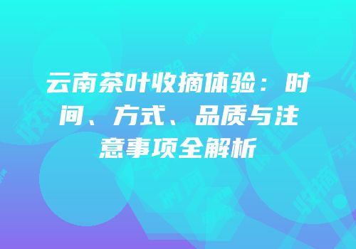 云南茶叶收摘体验：时间、方式、品质与注意事项全解析