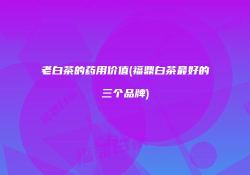 老白茶的药用价值(福鼎白茶最好的三个品牌)