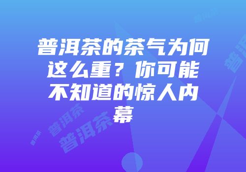普洱茶的茶气为何这么重？你可能不知道的惊人内幕