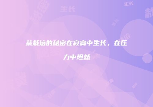 茶栽培的秘密在寂寞中生长，在压力中坦然