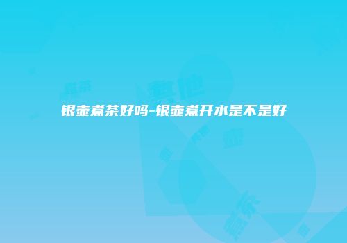 银壶煮茶好吗-银壶煮开水是不是好