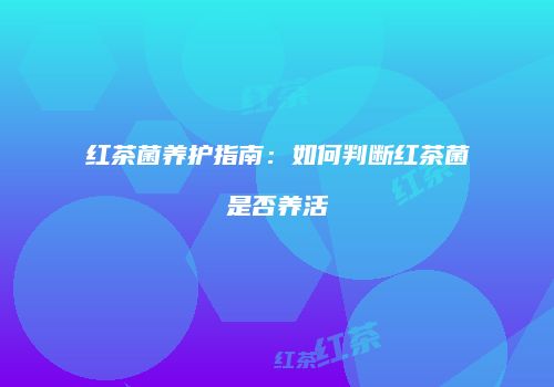 红茶菌养护指南：如何判断红茶菌是否养活
