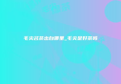 毛尖名茶出自哪里_毛尖是好茶吗
