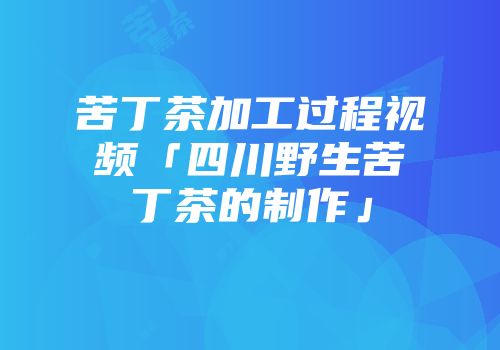 苦丁茶加工过程视频「四川野生苦丁茶的制作」