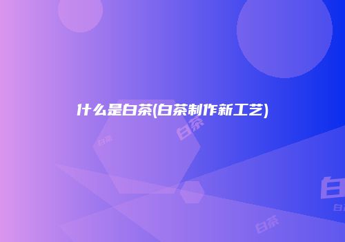 什么是白茶(白茶制作新工艺)