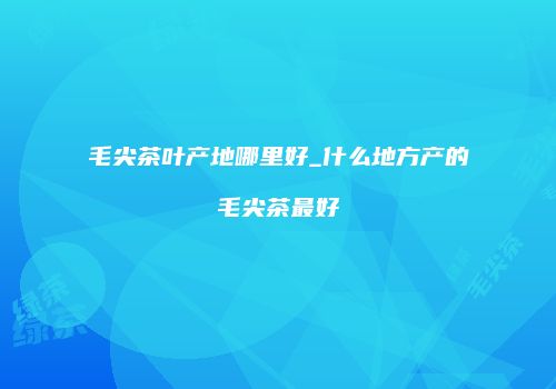 毛尖茶叶产地哪里好_什么地方产的毛尖茶最好