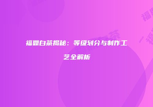 福鼎白茶揭秘：等级划分与制作工艺全解析