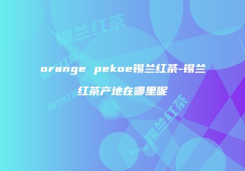 orange pekoe锡兰红茶-锡兰红茶产地在哪里呢