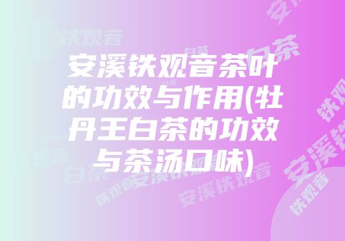 安溪铁观音茶叶的功效与作用(牡丹王白茶的功效与茶汤口味)