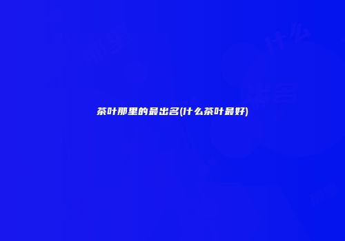 茶叶那里的最出名(什么茶叶最好)