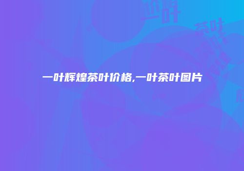一叶辉煌茶叶价格,一叶茶叶图片