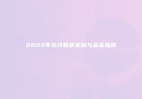 2023年龙井新茶采摘与品鉴指南