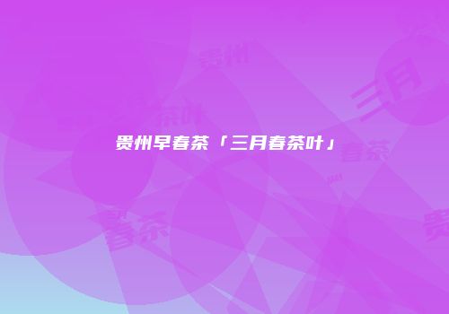 贵州早春茶「三月春茶叶」