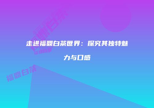 走进福鼎白茶世界：探究其独特魅力与口感