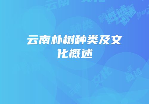 云南朴树种类及文化概述