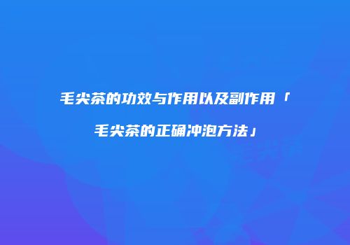 毛尖茶的功效与作用以及副作用「毛尖茶的正确冲泡方法」
