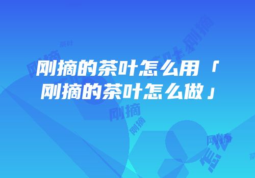 刚摘的茶叶怎么用「刚摘的茶叶怎么做」