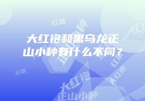 大红袍和黑乌龙正山小种有什么不同？
