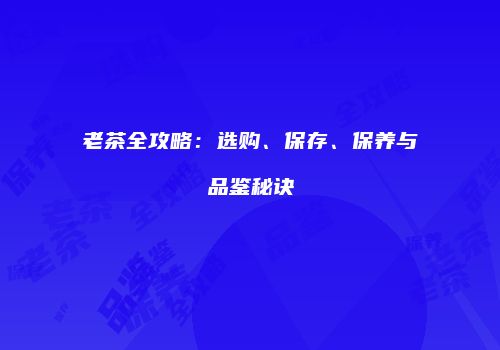老茶全攻略：选购、保存、保养与品鉴秘诀