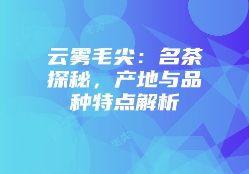 云雾毛尖：名茶探秘，产地与品种特点解析