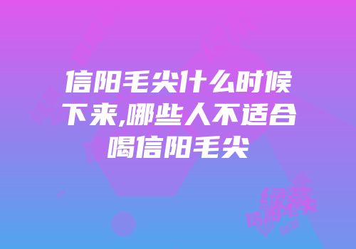 信阳毛尖什么时候下来,哪些人不适合喝信阳毛尖
