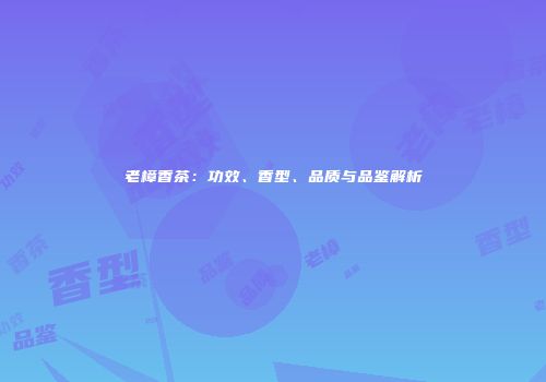 老樟香茶：功效、香型、品质与品鉴解析