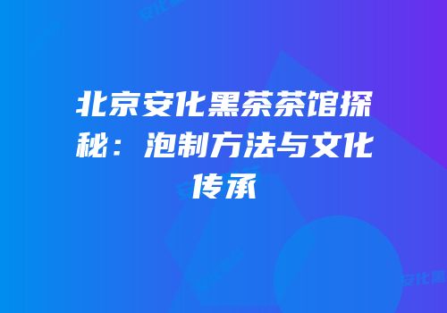 北京安化黑茶茶馆探秘：泡制方法与文化传承