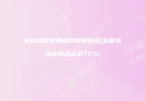 来自福建武夷山的顶级好茶(品鉴铁观音精选茗茶725)