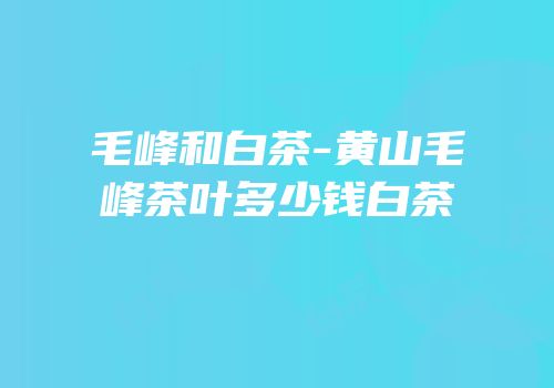 毛峰和白茶-黄山毛峰茶叶多少钱白茶