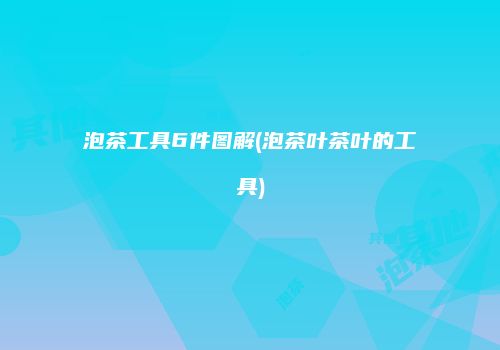 泡茶工具6件图解(泡茶叶茶叶的工具)