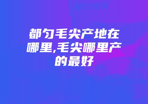 都匀毛尖产地在哪里,毛尖哪里产的最好