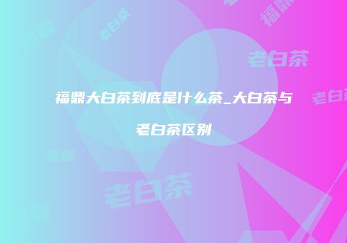 福鼎大白茶到底是什么茶_大白茶与老白茶区别