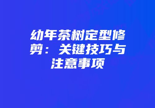幼年茶树定型修剪：关键技巧与注意事项