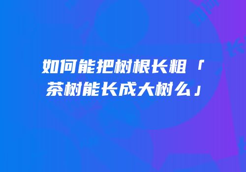 如何能把树根长粗「茶树能长成大树么」