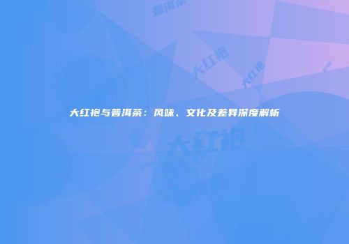 大红袍与普洱茶：风味、文化及差异深度解析