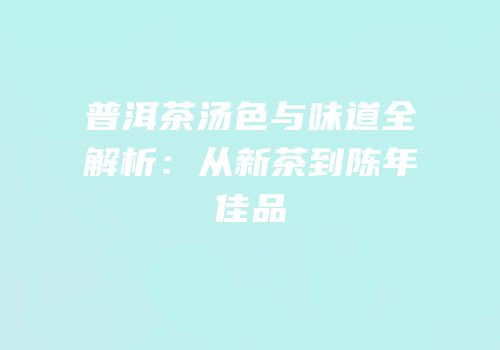 普洱茶汤色与味道全解析：从新茶到陈年佳品