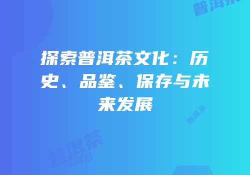 探索普洱茶文化：历史、品鉴、保存与未来发展